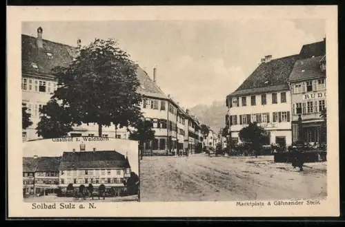 AK Sulz a. N., Marktplatz und Gähnender Steir