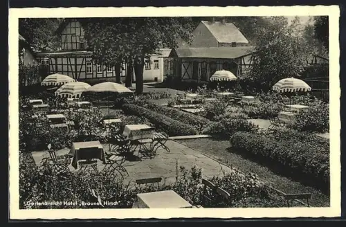 AK Neuhaus im Solling, Hotel Brauner Hirsch, Gartenansicht