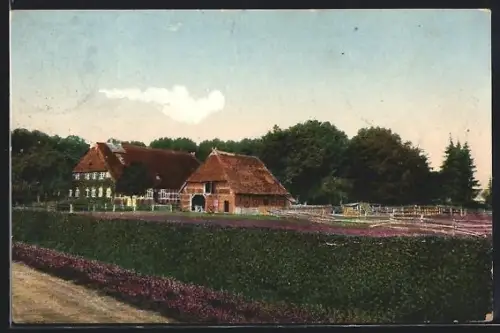 AK Handorf /Lüneburger Heide, Alter Friedhof, Bauernhof, Heideflächen