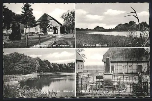 AK Hämelsee, Forstwirtschaft, Partie am Hämelsee, Geflügeldenkmal