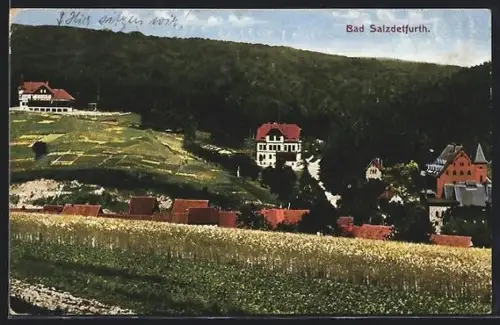 AK Bad Salzdetfurth, Ortsansicht mit Villen und Feldern