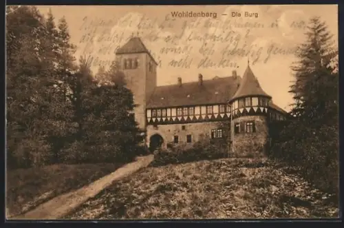 AK Wohldenberg, Die Burg