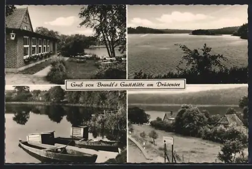 AK Mölln, Brandt`s Gaststätte am Drüsensee, Seeansicht, Boote, Uferlandschaft