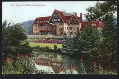 AK Bad Elster, Dr. Köhlers Sanatorium, Garten, Teich
