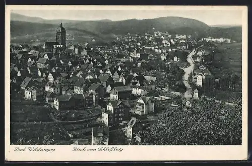 AK Bad Wildungen, Blick vom Schlossberg