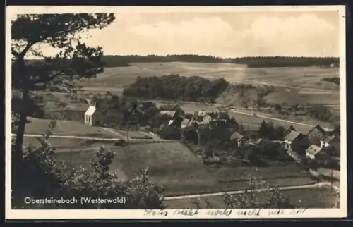 AK Obersteinebach /Westerwald, Ortsansicht mit Kirche und umliegender Landschaft