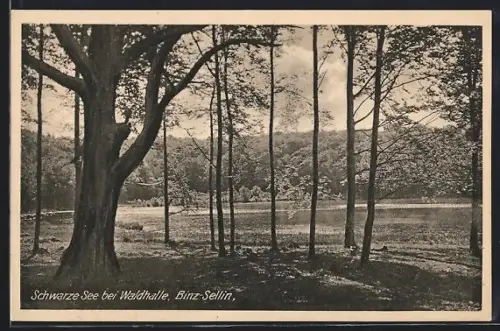 AK Binz-Sellin, Schwarze See bei Waldhalle