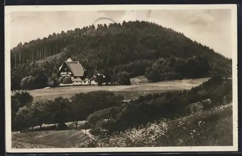 AK Freiburg i. Br., Erholungsheim Luisenhöhe, Café-Restaurant