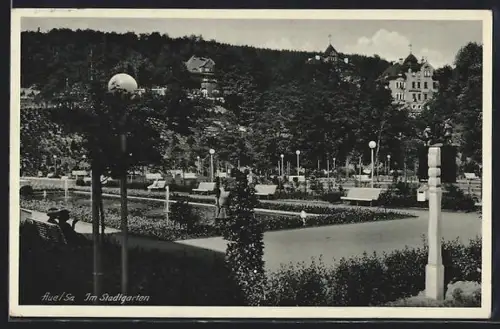 AK Aue /Sa., Im Stadtgarten