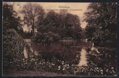 AK Oldenburg, Schlossgarten, Partie am Schwanenteich