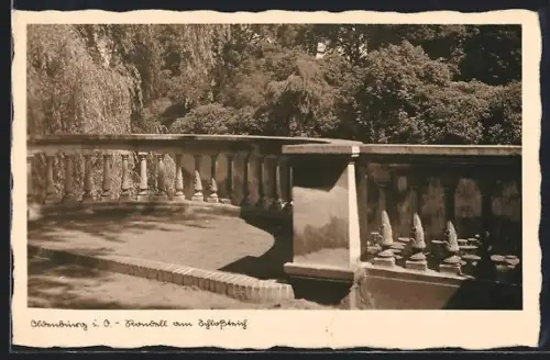 AK Oldenburg i. O., Rondell am Schlossteich