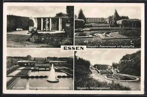 AK Essen, Grugapark, Leuchtbrunnen, Rosenterrassen mit Rosenkaffee, Wasserterrassen mit Leuchtbrunnen