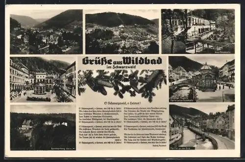 AK Wildbad im Schwarzwald, Trinkhalle, Partie an der Enz, Sommerberg