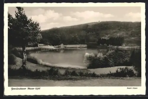 AK Gemündener Maar /Eifel, Seeansicht, bewaldete Hügel