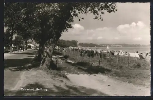 AK Haffkrug, Strandpromenade, Strandkörbe, Ostsee
