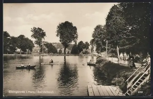 AK Elbingerode i. Harz, Gondelteich