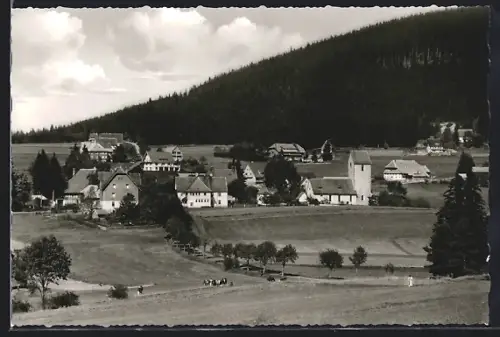 AK Saig /Hochschwarzwald, Ortsansicht mit Kirche und umliegenden Gebäuden