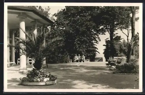 AK Kühlungsborn, Konzertgarten Ost, Palmen, Sitzbänke, Pavillon