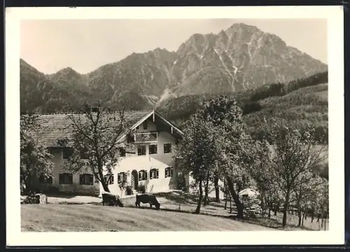AK Aufham /Bad Reichenhall, Hölbinger-Alm mit Staufen