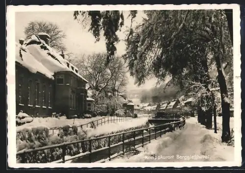 AK Berggiesshübel, Verschneite Uferpromenade mit Häusern und Bäumen