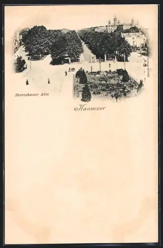 AK Hannover, Herrenhauser Allee