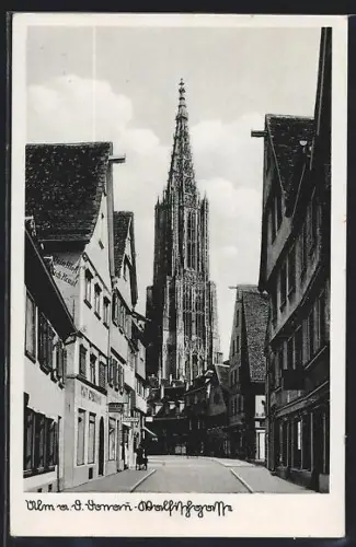 AK Ulm a. D., Ulmer Münster, Walfischgasse