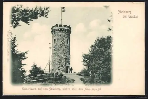 AK Steinberg bei Goslar, Kaiserthurm auf dem Steinberg