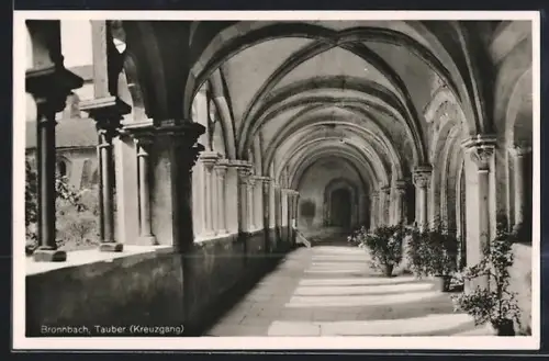 AK Bronnbach /Tauber, Kreuzgang