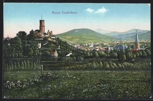 AK Bad Godesberg, Ruine Godesberg