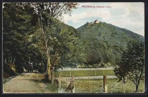 AK Selketal i. Harz, Blick auf den Melseberg