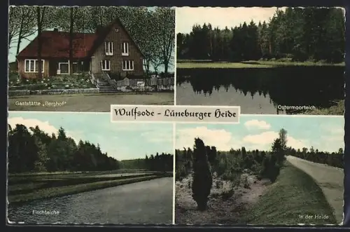 AK Wulfsode /Lüneburger Heide, Gasthaus Berghof, Ostermoorteich, Fischteiche, Heideansicht