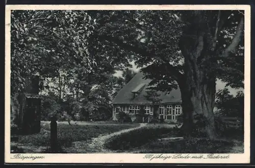 AK Bispingen, 500-jährige Linde mit Pastorat
