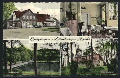 AK Bispingen /Lüneburger Heide, Café Carstens, Schwimmbad, Alter Schafstall