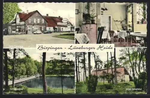 AK Bispingen /Lüneburger Heide, Café Carstens, Schwimmbad, Alter Schafstall