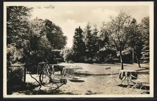 AK Bispingen, Rieckmann`s Gast- und Pensionshaus, Gartenansicht