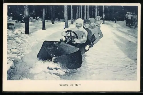 AK Schlittenfahrer im Harz