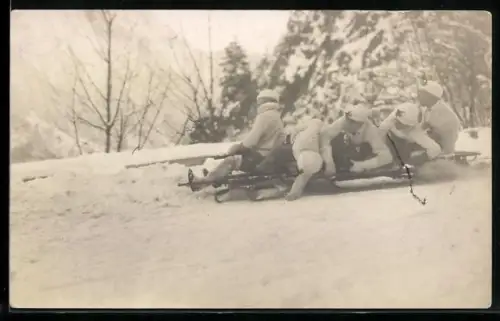 Foto-AK Schlittenfahrer mit Gebirge im Hintergrund