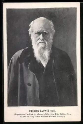 AK Portrait von Charles Darwin