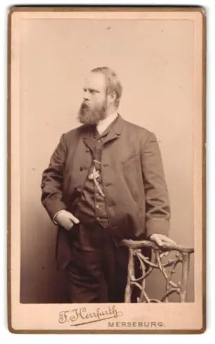 Fotografie F. Herfurth, Merseburg, Brühl 4, Würdevoller Herr mit Bart