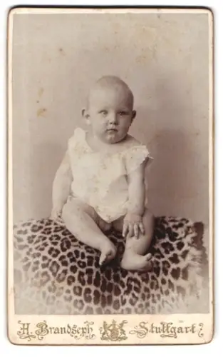 Fotografie Hermann Brandseph, Stuttgart, Marienstrasse 36, Porträt eines Kleinkindes