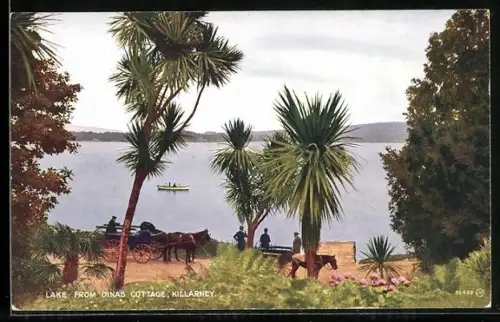 AK Killarney, Lake from Dinas Cottage