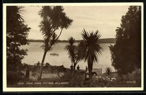 AK Killarney, Lake from Dinas Cottage