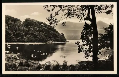 AK Killarney, Partie am Gebirgssee