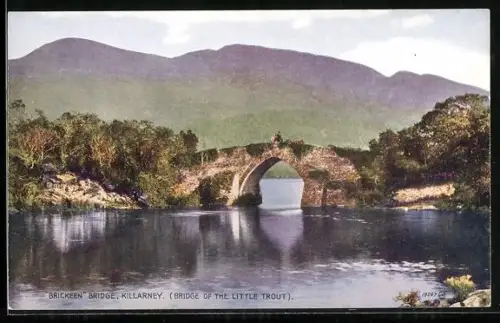 AK Killarney, Brickeen Bridge