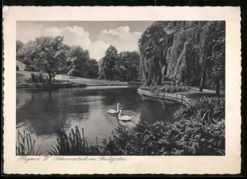 AK Hagen i. W., Schwanenteich im Stadtgarten