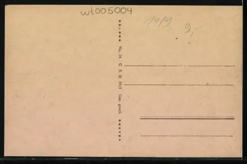 AK Mainz, Rheinpanorama, Dom, Stadthalle