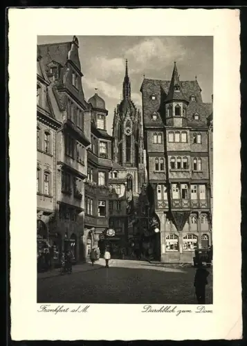 AK Alt-Frankfurt, Domblick, Altstadt, Fachwerkhäuser