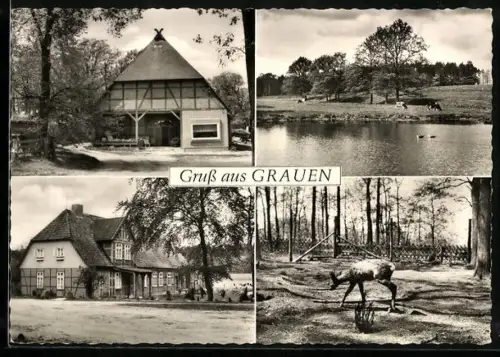 AK Grauen, Hof Grauen, Teich, Wildgehege