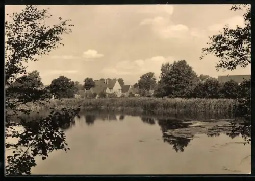 AK Ochsensaal /Oschatz, Am Mühlteich, Teich, Dorfansicht, Bäume