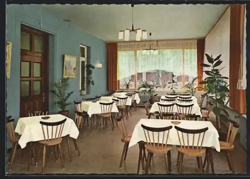 AK Eselsfürth /Kaiserslautern, Gasthaus Barbarossa-Hof, Inh. W. Flöckerzie, Wintergarten